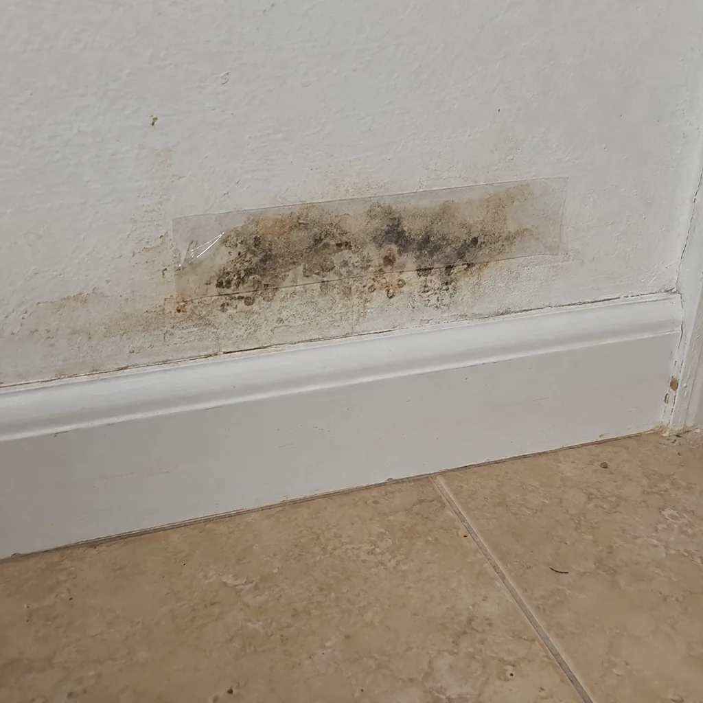 Clear tape lift pressed onto a discoloured patch of drywall above a baseboard